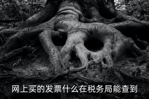 網(wǎng)上查發(fā)票能查到什么內(nèi)容，網(wǎng)上買的發(fā)票什么在稅務(wù)局能查到