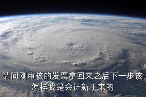發(fā)票核定完之后接下來(lái)做什么，請(qǐng)問(wèn)剛審核的發(fā)票拿回來(lái)之后下一步該怎樣我是會(huì)計(jì)新手來(lái)的