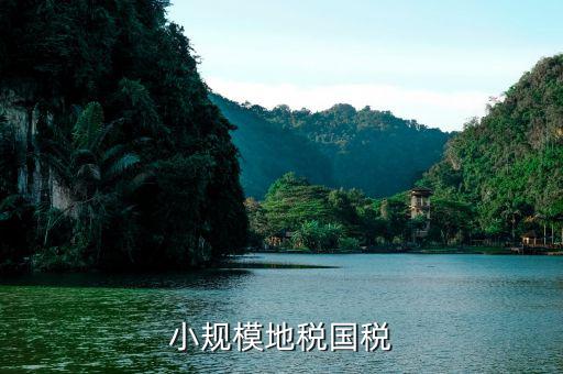 小規(guī)模的國稅是什么，營改增后國稅小規(guī)模納稅稅種有哪些