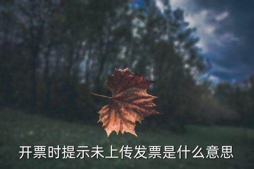 普通發(fā)票為什么顯示沒上傳，為什么我的發(fā)票顯示為未報(bào)送怎么辦