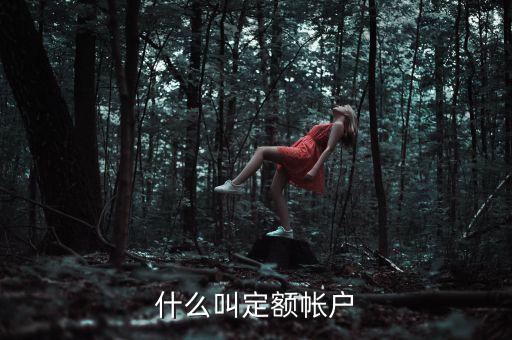 國(guó)稅的定期定額戶是什么意思，國(guó)稅買票需要定稅或建賬是什么意思
