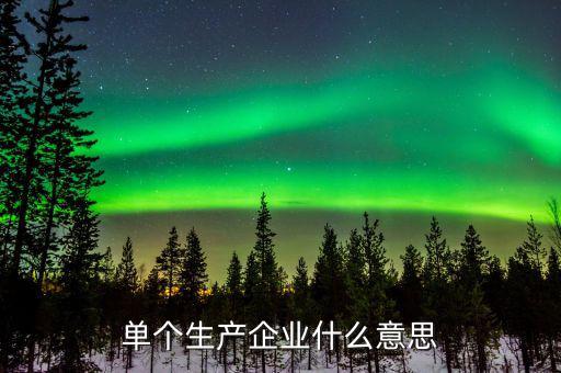 列名生產(chǎn)企業(yè)是什么意思，單個生產(chǎn)企業(yè)什么意思