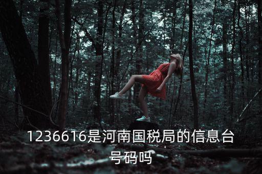 河南省國家稅務(wù)局賬號是什么，登錄國稅網(wǎng)上辦稅服務(wù)廳的用戶名和密碼是什么