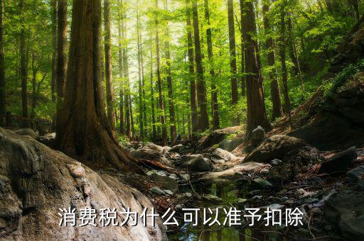 外購的汽油柴油消費(fèi)稅為什么可抵扣，cpa稅法中15年真題外購汽油90用于公司運(yùn)送旅客可以抵扣90