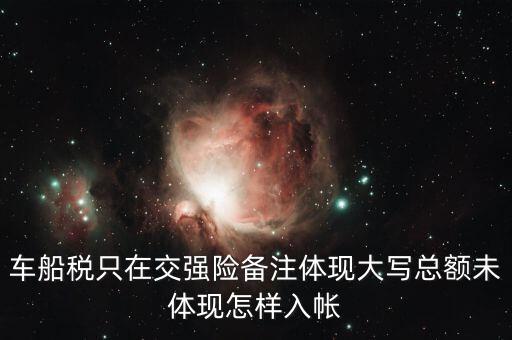 車(chē)船稅只在交強(qiáng)險(xiǎn)備注體現(xiàn)大寫(xiě)總額未體現(xiàn)怎樣入帳