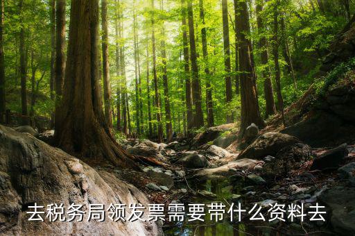 領(lǐng)發(fā)票都要帶什么，去稅務(wù)局領(lǐng)發(fā)票需要帶什么資料去