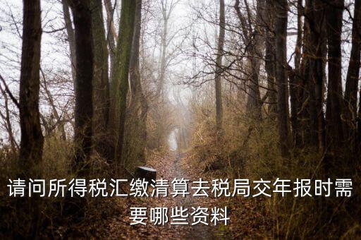 公司稅務(wù)年報(bào)需要什么，問(wèn)企業(yè)所得稅年報(bào)怎么報(bào)需要什么資料
