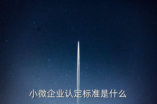 小微企業(yè)包括什么條件，小微企業(yè)的標(biāo)準(zhǔn)是什么