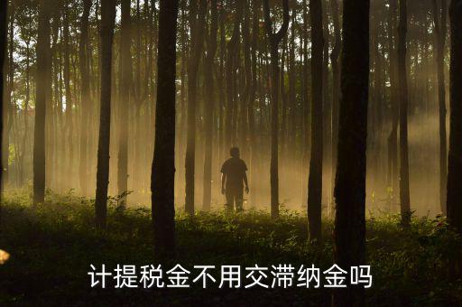 什么稅沒有滯納金，各種稅的滯納金一樣么