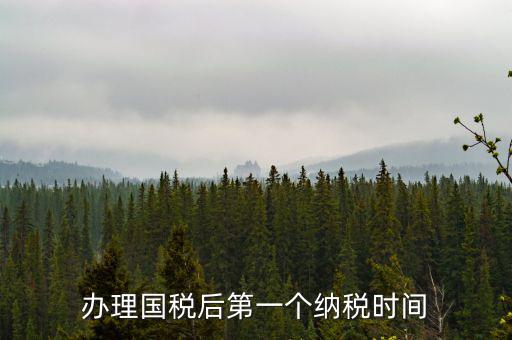 報稅后什么時候交稅，辦理國稅后第一個納稅時間