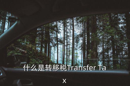 什么是跨地區(qū)稅收轉(zhuǎn)移企業(yè)，什么是轉(zhuǎn)移稅Transfer Tax