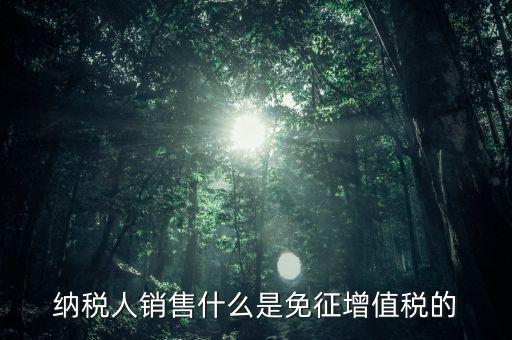 什么免征增值稅，哪些屬于免征增值稅