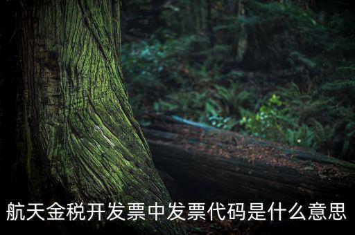 增值稅的航天編碼是什么，航天金稅 自動開票 怎么獲取 發(fā)票代碼 發(fā)票號碼