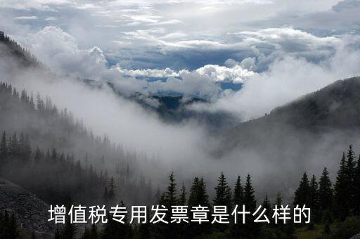 發(fā)票專用章什么樣子，增值稅專用發(fā)票章是什么樣的