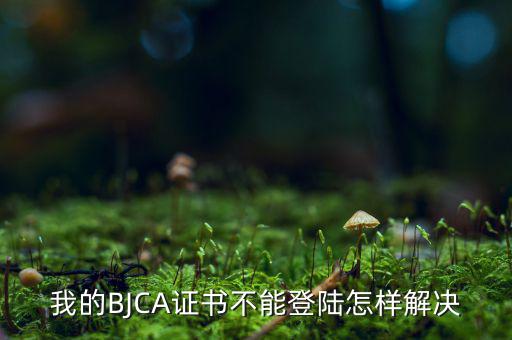 為什么ca證書(shū)不能登錄，我的BJCA證書(shū)不能登陸怎樣解決