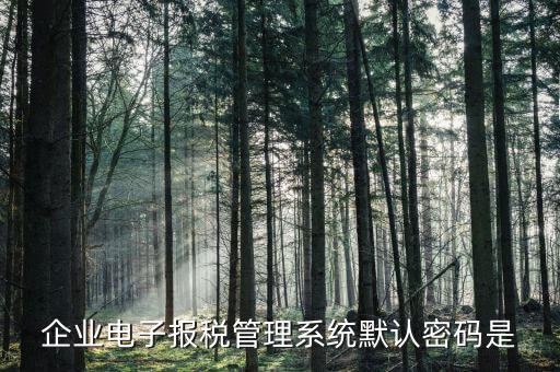 電子稅務(wù)局的初始密碼是什么，稅務(wù)局網(wǎng)站的登入賬戶初始密碼是什么
