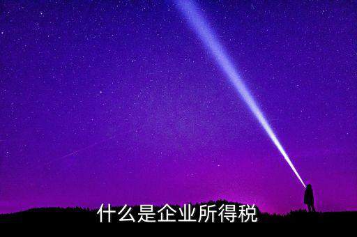 什么是公司所得稅，企業(yè)所得稅是什么意思