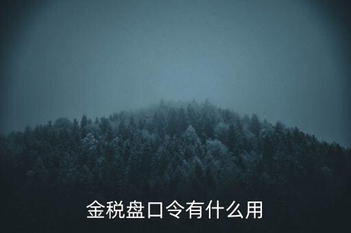 報(bào)稅數(shù)字證書(shū)口令是什么，陜西天暢偉業(yè)的網(wǎng)上報(bào)稅系統(tǒng)的登錄口令是什么