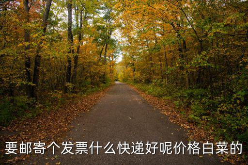 深圳國(guó)稅發(fā)票是寄什么快遞，寄發(fā)票用什么快遞