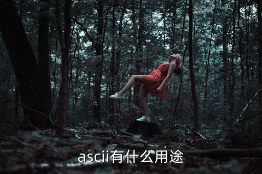 稅優(yōu)識別碼有什么用，ascii有什么用途