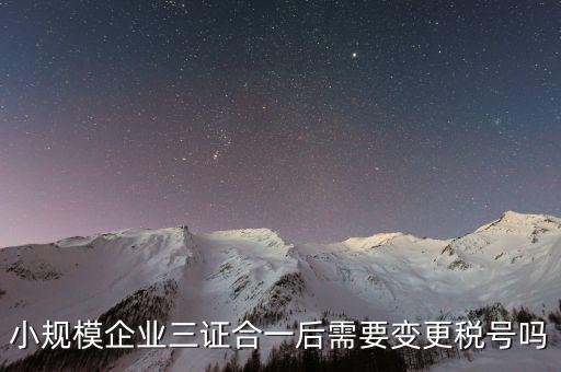 什么情況需要變更稅號(hào)，小規(guī)模企業(yè)三證合一后需要變更稅號(hào)嗎