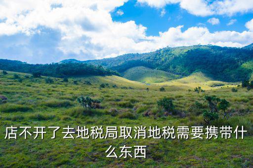 去地稅作廢申報需要帶什么手續(xù)，去地稅局辦撤回個人所得稅申報用帶什么
