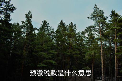 已預(yù)繳稅費(fèi)指什么，預(yù)繳稅款是什么意思