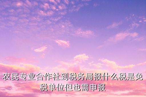 農(nóng)村合作社交什么稅，農(nóng)民合作社每個(gè)月要申報(bào)什么稅