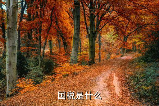 國(guó)稅無紙化辦稅是什么意思，開通國(guó)稅是什么意思