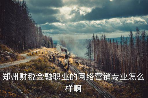 互聯(lián)網(wǎng)財(cái)稅銷(xiāo)售是什么，鄭州財(cái)稅金融職業(yè)的網(wǎng)絡(luò)營(yíng)銷(xiāo)專(zhuān)業(yè)怎么樣啊