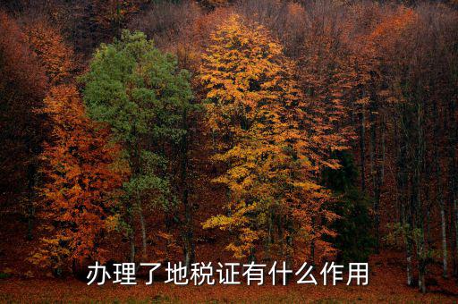 地稅局作用是什么，地稅局給我們帶來了哪些好處