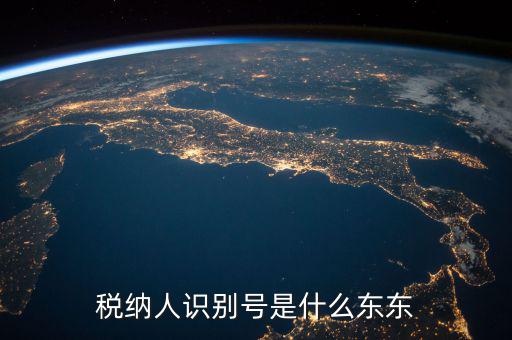 企業(yè)稅務(wù)識別號是什么意思，稅納人識別號是什么東東