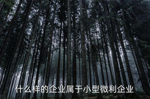 什么屬于小微企業(yè)，小微企業(yè)是什么
