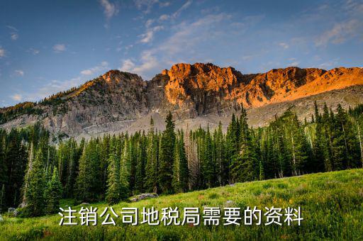 地稅銷(xiāo)戶(hù)需要什么資料，注銷(xiāo)公司地稅局需要的資料