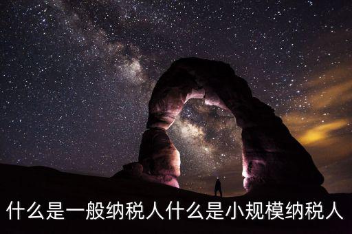 什么企業(yè)是一般納稅人，什么叫一般納稅人我如何辨別自己公司是否是一般納稅人
