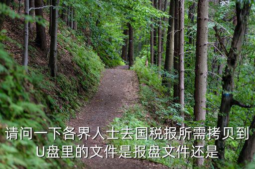 稅務(wù)報盤文件是什么，請問一下各界人士去國稅報所需拷貝到U盤里的文件是報盤文件還是