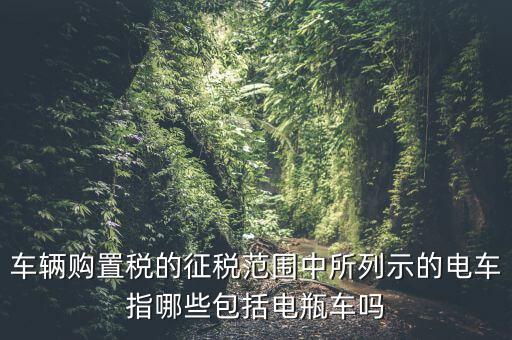有軌電車征收什么稅，車輛購置稅的征稅范圍中所列示的電車指哪些包括電瓶車嗎