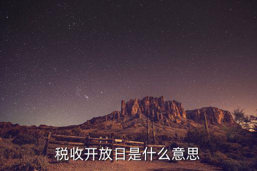 國(guó)稅開(kāi)放日是什么意思，稅收開(kāi)放日是什么意思