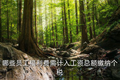 什么樣的福利費(fèi)要交個稅，什么樣的福利費(fèi)不需要交納個人所得稅呢