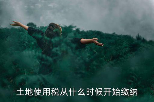 城鎮(zhèn)土地使用稅什么時候交，房地產(chǎn)開發(fā)企業(yè)繳納城鎮(zhèn)土地使用稅的時間是多久