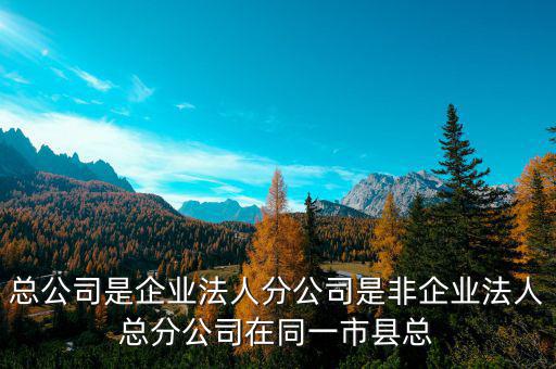 非總分機構是什么，納稅人基本情況表沒有總分機構總機構名稱等還要不要填
