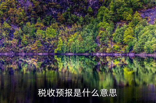 稅收預(yù)測(cè)什么意思，稅收分析和稅收預(yù)測(cè)是什么關(guān)系稅收分析預(yù)測(cè)制度 應(yīng)該怎么從哪方面