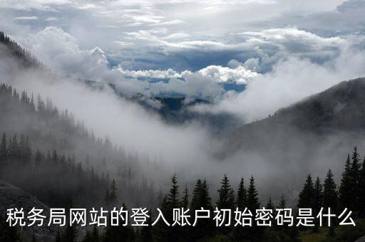 廣東國稅網(wǎng)登錄密碼是什么意思，稅務(wù)局網(wǎng)站的登入賬戶初始密碼是什么