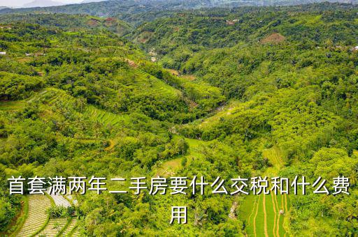 賣滿2年的房子交什么稅，商品房滿2年了出售的話需要交哪些稅詳細點