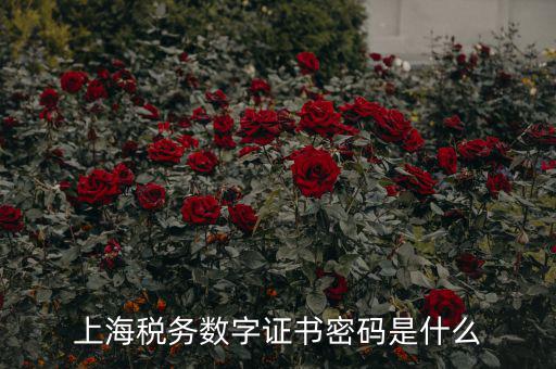 稅務(wù)數(shù)字證書密碼是什么，稅務(wù)密鑰是什么東西是數(shù)字證書嗎