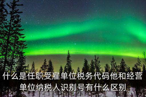 報(bào)稅自然人識(shí)別號(hào)是什么，個(gè)稅申報(bào)顯示存在相同唯一識(shí)別號(hào)是什么意思