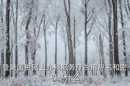 什么是電子稅務(wù)局登錄賬號(hào)，登錄國稅網(wǎng)上辦稅服務(wù)廳的用戶名和密碼是什么