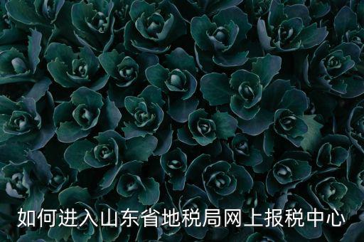 山東地稅密碼是什么，我在山東地稅網(wǎng)上報稅密碼怎么查