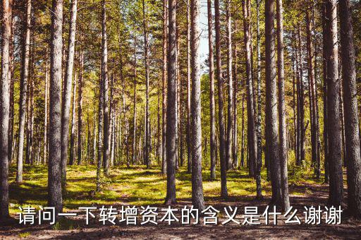 什么是利潤轉(zhuǎn)增資，什么叫轉(zhuǎn)增資本通俗一點(diǎn)越白話越好