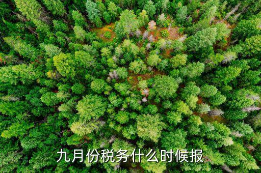 2017年9月份的稅什么報完，誰知道今年9月的個人所得稅怎么報怎么來計算的